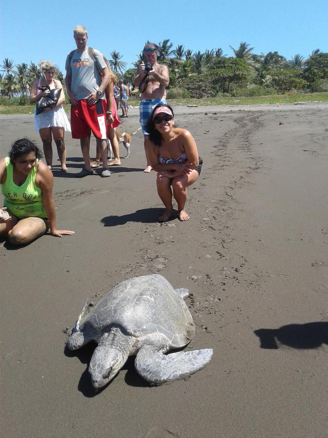 Апартаменты Plumita Pacifica Playa Junquillal Экстерьер фото