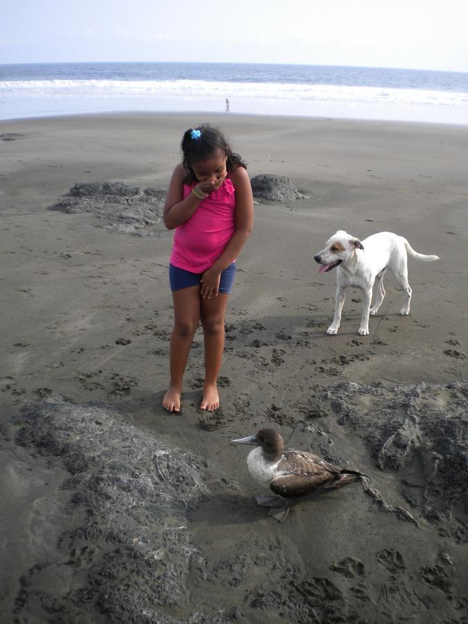 Апартаменты Plumita Pacifica Playa Junquillal Экстерьер фото